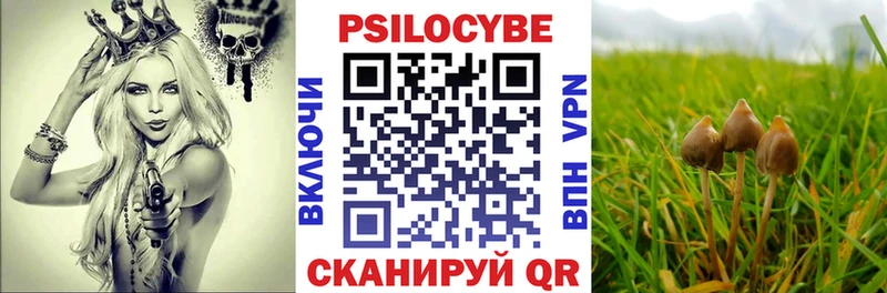 продажа наркотиков  Красноперекопск  Псилоцибиновые грибы ЛСД 